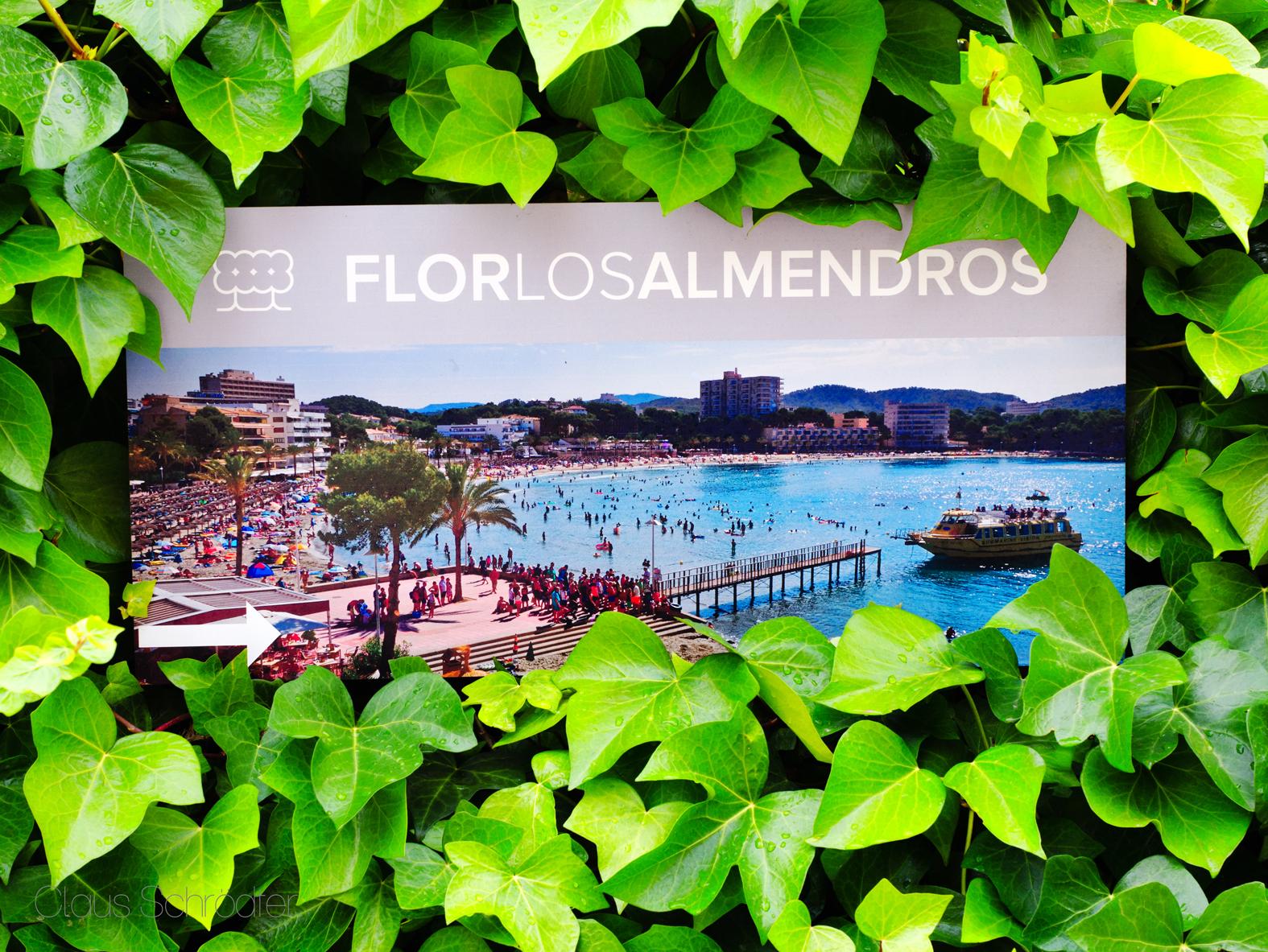 Hotel Flor Los Almendros Peguera Exterior foto
